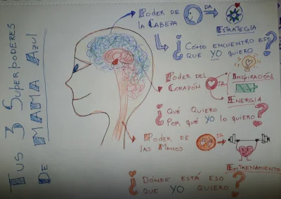 Las 3 grandes areas del cerebro, explicadas facilmente para tu bienestar